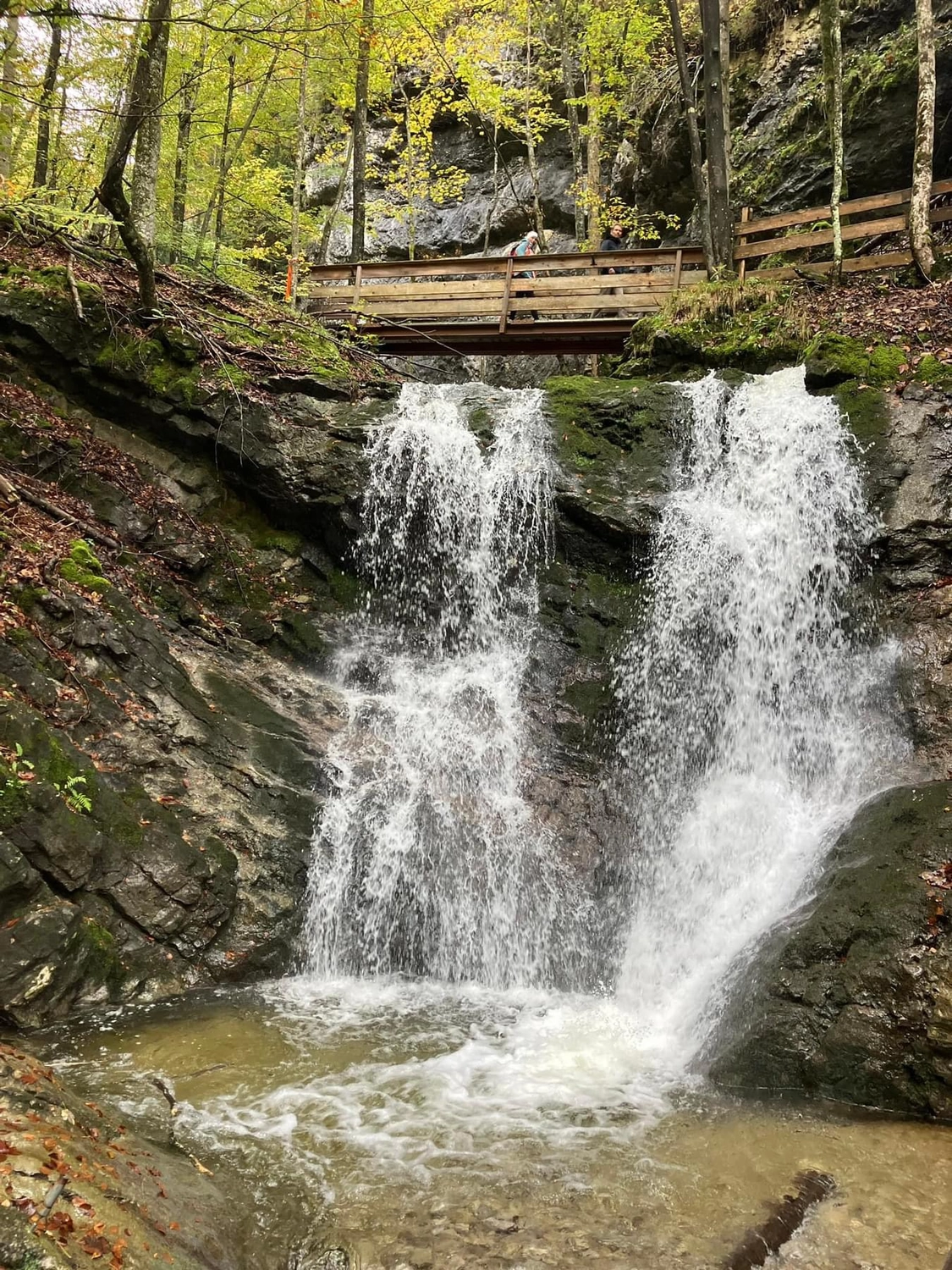 Mokurai - Akademie für Resilienz und Gewaltprävention - Wasserfall im Wald