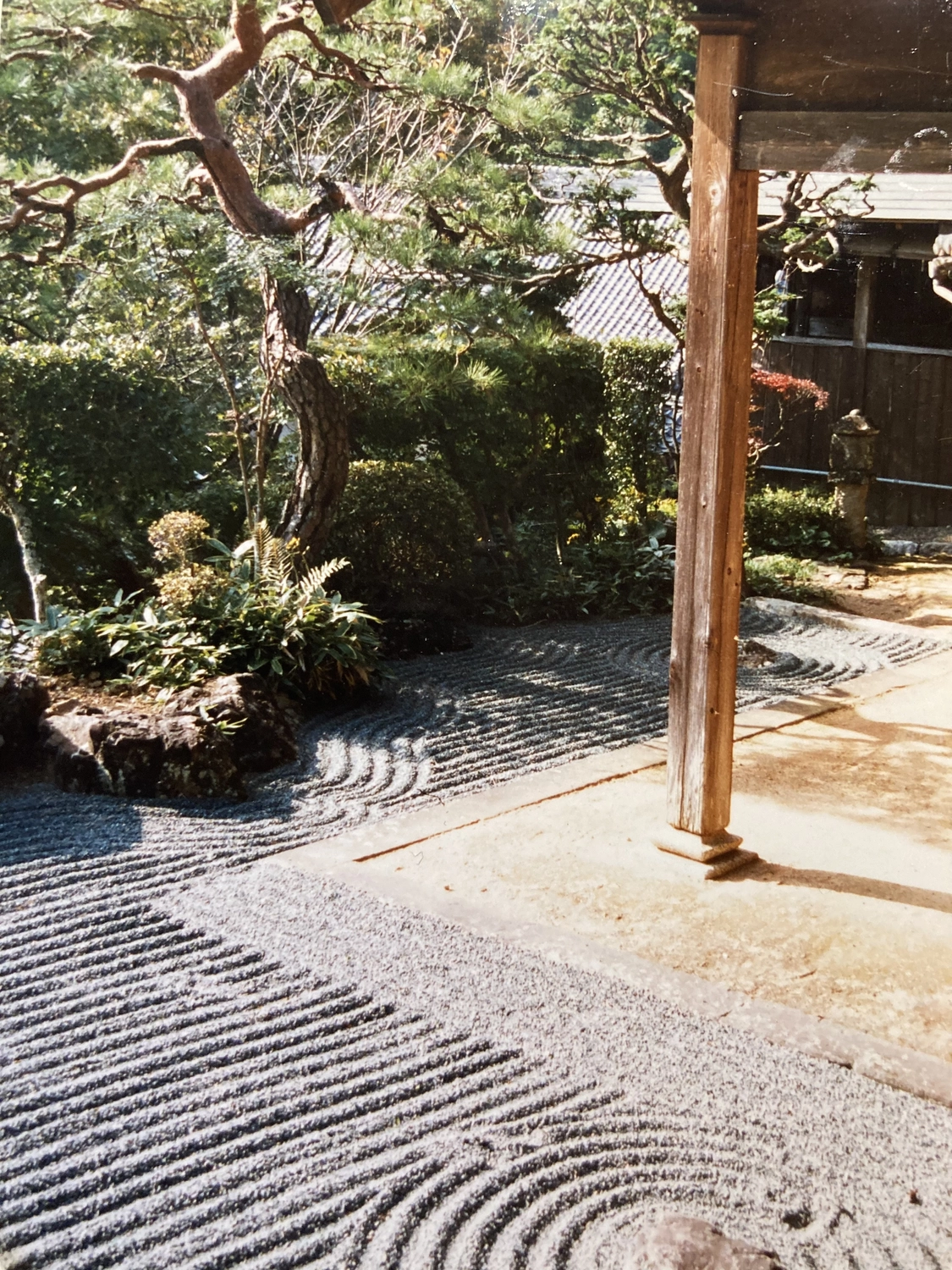 Mokurai - Akademie für Resilienz und Gewaltprävention - Japanischer Garten